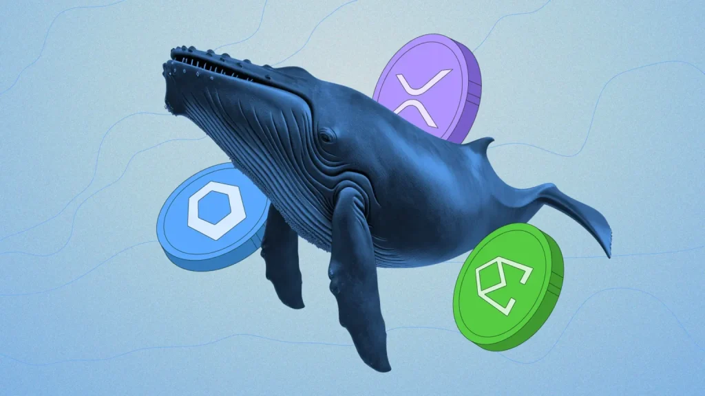 crypto-whales-are-targeting-these-altcoins-for-potential-returns-in-september-2025-1536x864