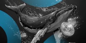 bitcoin-whale-decrypt-style-03-gID_7