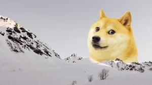 memememmeer