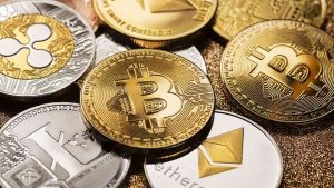 im-92494486_1756991198688_1761823666704