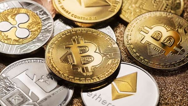 im-92494486_1756991198688_1761823666704