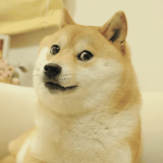 Dogecoin Faces Pressure: Could the Meme Coin Revisit Its 13-Month Low Despite Recent Gains?