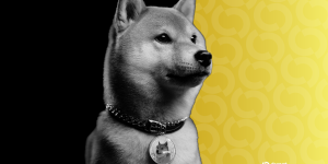 Doge4-gID_7