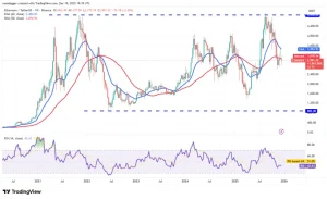 cointelegraph_c83d33d92094b-0b41f5210546fa7016870196d68aa909-resized