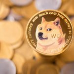 Dogecoin’s Largest Holders in 2025: Who Are the Crypto Whales Driving Market Moves?