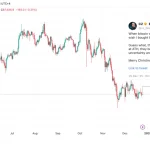 Binance Founder CZ Exposes the Realities Behind Every ‘Perfect’ Bitcoin Purchase