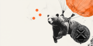 XRP-bearish-realist_Small